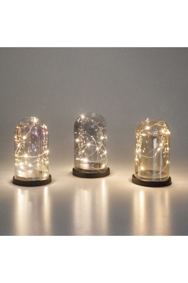 Trenda Accessorries Sevgililer Günü Hediyesi Boş Akrilik Işıklı Fanus