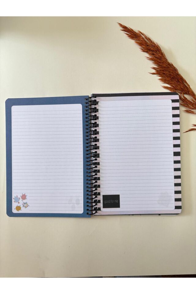 Atakids Lizy Çizgili Spiralli Okul Not Defteri | 21 x 16 cm | 100 Yaprak (2ADET)