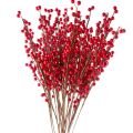 Yılbaşı Kokina Çiçeği 70 cm (10 adet)