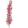 Yılbaşı Kokina Çiçeği 70 cm (10 adet)