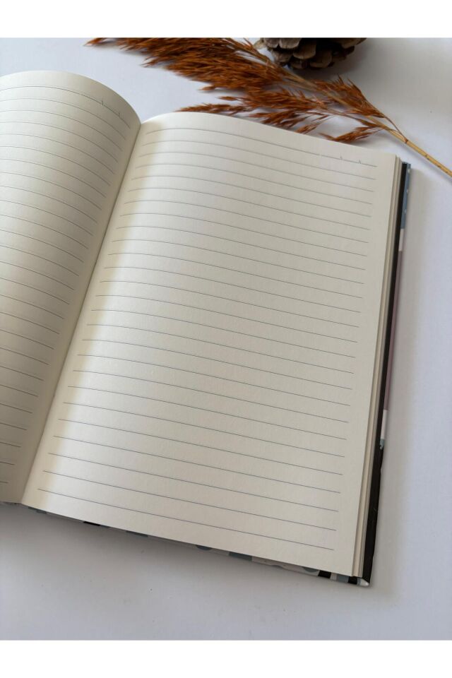 Atakids Lizy Sert Kapak Lastikli Çizgili Defter (20 × 14 cm, 96 yaprak) Beyaz