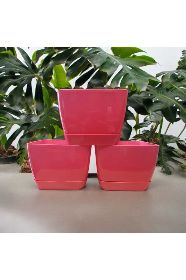 Floris Kare Tabaklı Pembe Saksı 3'lü