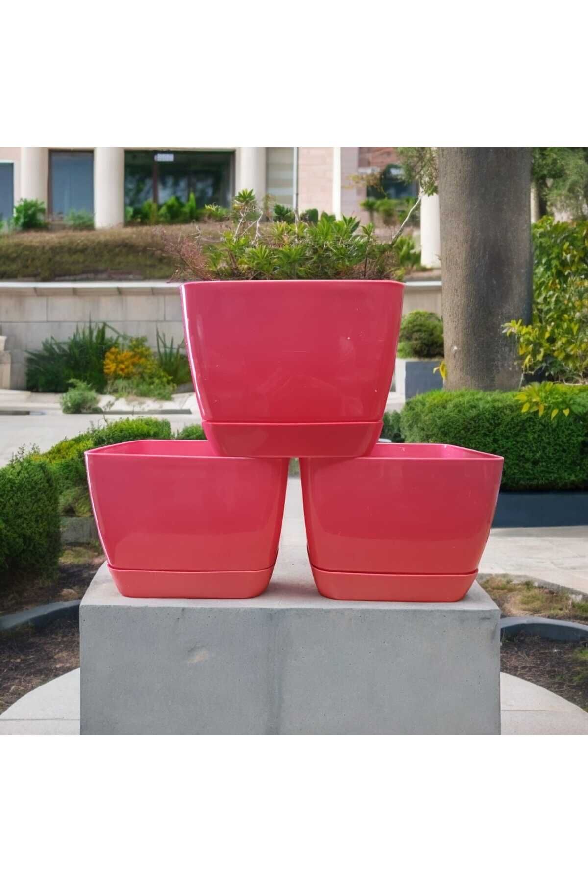 Floris Kare Tabaklı Pembe Saksı 3'lü