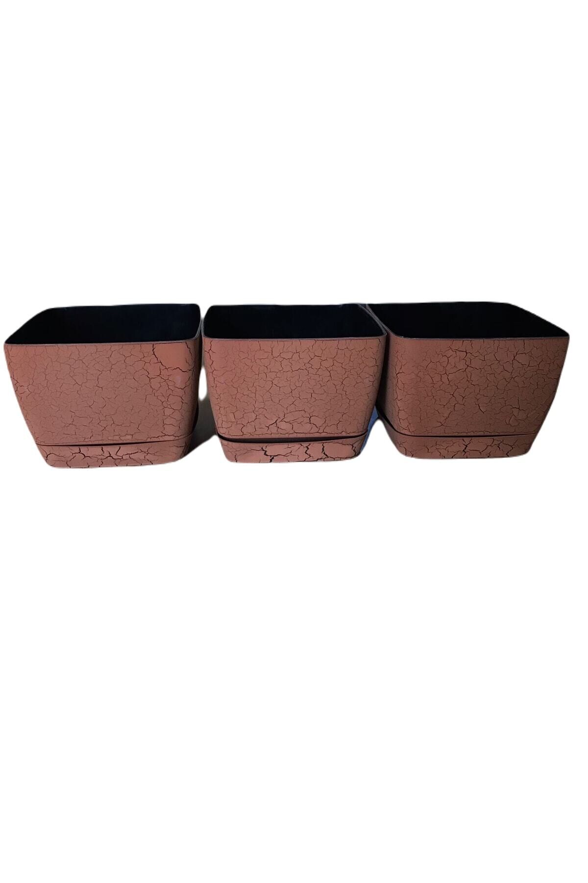 3'lü 18 Cm Boyalı Tabaklı Saksı 3 Lt (3 Adet) Kahve