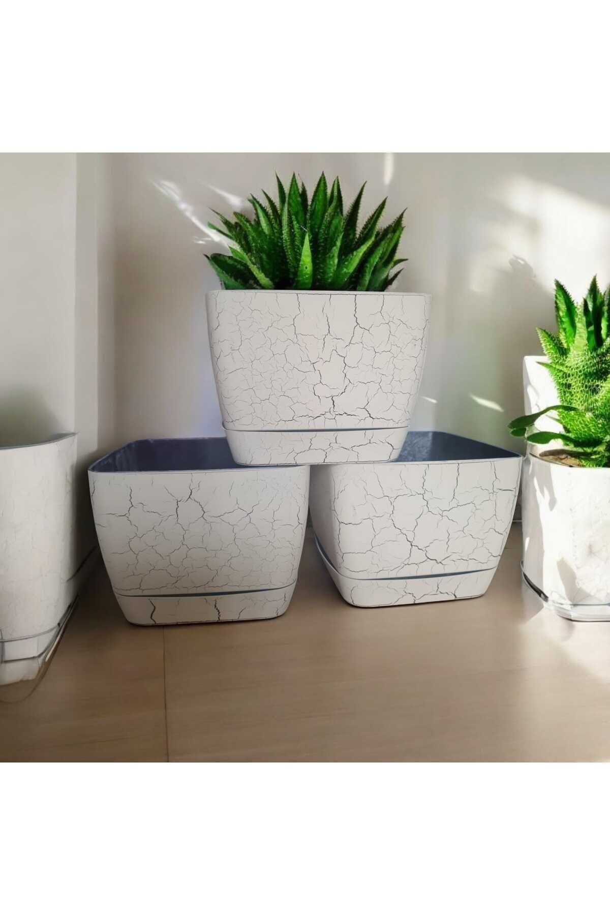 18 cm Mermer Desenli Kare Tabaklı Saksı (3Adet) Krem
